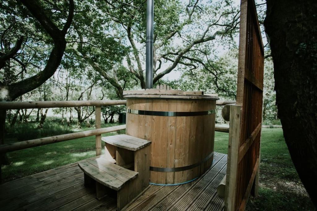 Ferienwohnung Oak Special Winter Offers - Hot Tub & Log Burner Barmouth Exterior foto